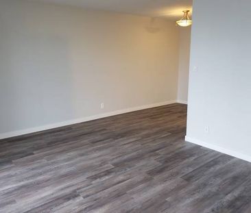 NEWLY RENOVATED 2 Bedroom + 1 Bath! Spacious and bright with VIEWS!!! - Photo 2