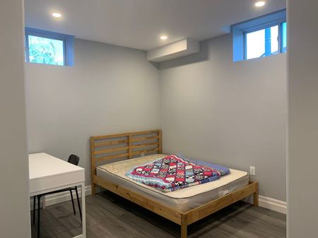 For Lease - 56 STELLE Lane Unit# Basement, Hamilton, Ontario - Photo 2