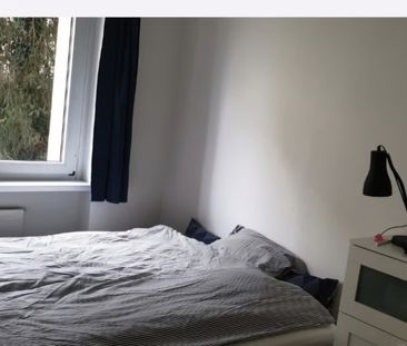 2.5 Zimmer, 40 m², EG - Photo 3