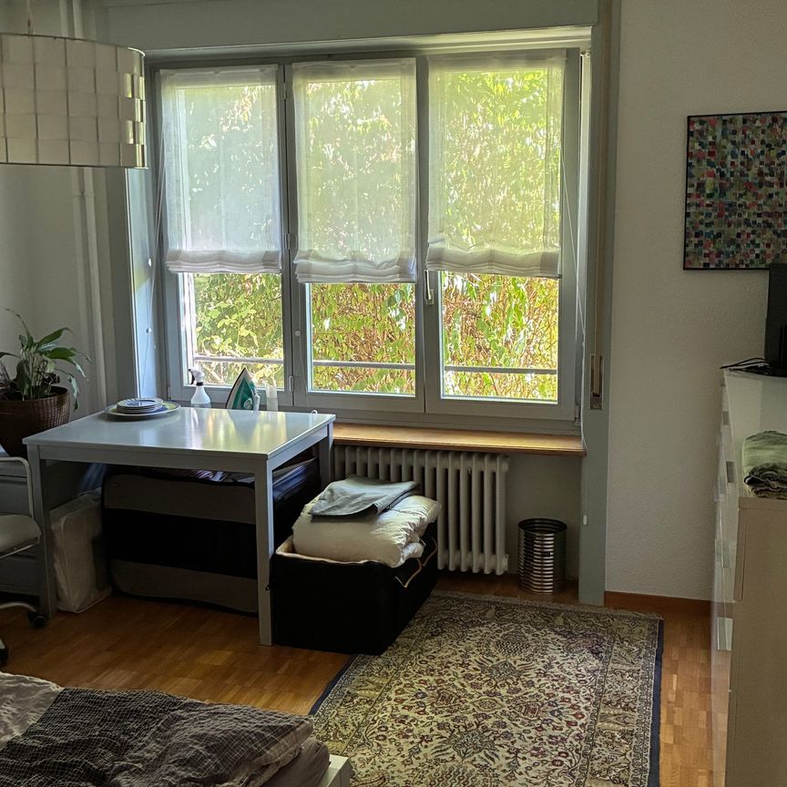 2 1/2-Zimmer-Wohnung - Photo 1