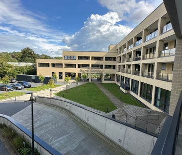 Moderne 2- Zimmer Wohnung für Jung und Alt! - Photo 6