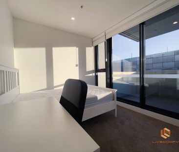 Braddon - Photo 1