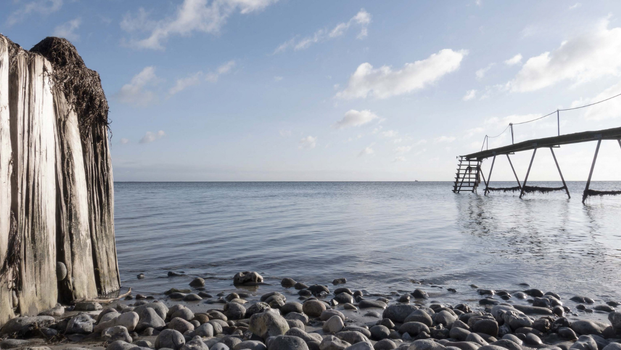 Stevnsvej 3 A, stuen 2 - Foto 1