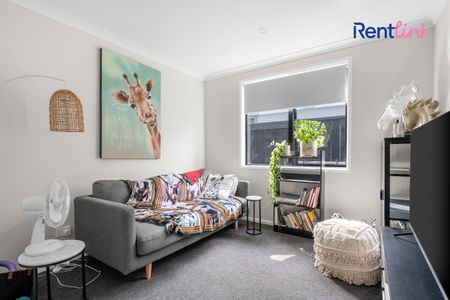 29 Bale Close, Papamoa - Photo 2