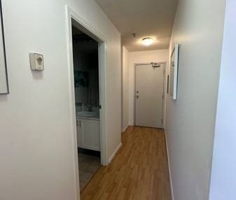 KITSILANO NICE LARGE 1 BR- TOP FLOOR - Photo 1