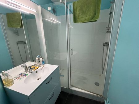 Location appartement 3 pièces 57.72 m² à Lille (59000) - Photo 5