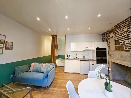 Location Appartement 1 pièce Meublé 31m² TOURS 37000 - Photo 1