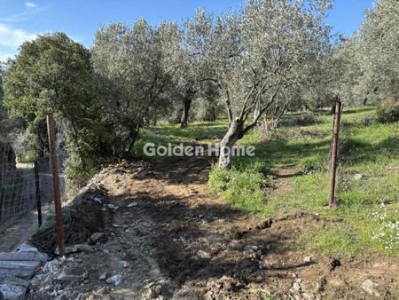 Ενοικίαση, Κατοικία, Μονοκατοικία - Φωτογραφία 3