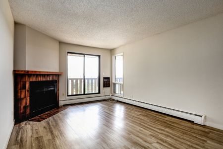 Renovated Suite - 1 Bedroom - Photo 3