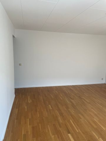 Tegnérgatan, Borås - Photo 2