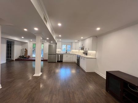 For Lease - 17 Hyde Park Drive Unit# BASEMENT, Richmond Hill, Ontario - Photo 5