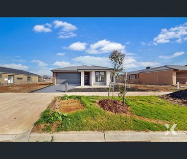 31 Cyad Way, Manor Lakes, Vic 3024 - Photo 6