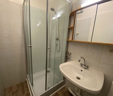 Location Appartement 2 pièces 45m² METZ 57000 - Photo 5