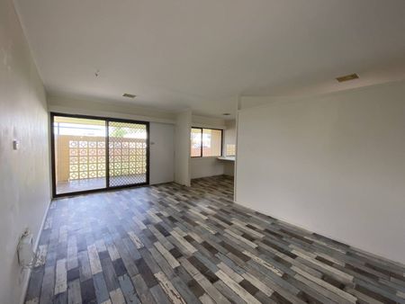 AITKENVALE CUTIE - Photo 2