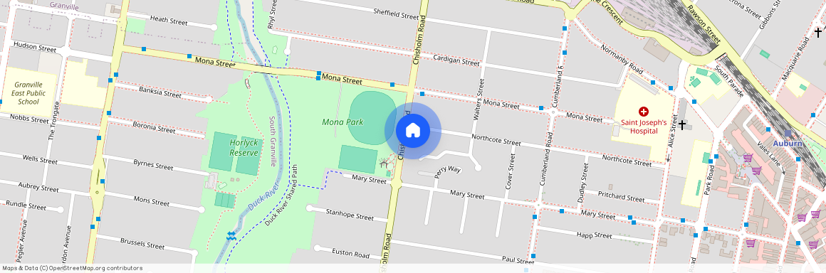 56 chisholm rd, NSW 2144, Auburn