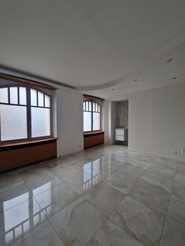 Location Appartement 5 pièces 151m² DELLE 90100 - Photo 4