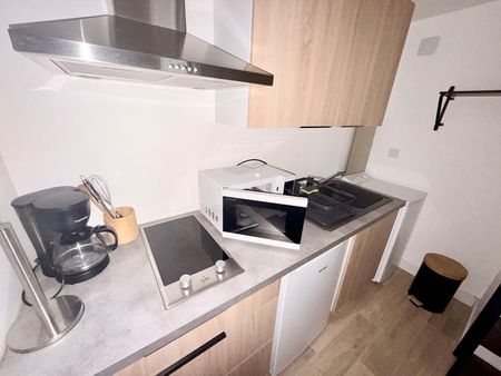 Location Appartement 1 pièce 20m² BEDARIEUX 34600 - Photo 4