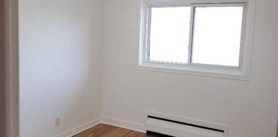 1 CH - 1 SDB - Montréal - $1,300 /mo - Photo 2