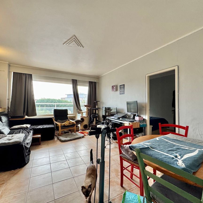 Cuyper 159 - Photo 1