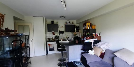 Appartement T2 à louer - 41 m² - Photo 3