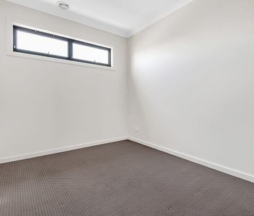 Look No Further.. - Photo 3