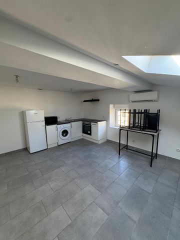 Location Appartement 1 pièce 36m² BEDARIEUX 34600 - Photo 3