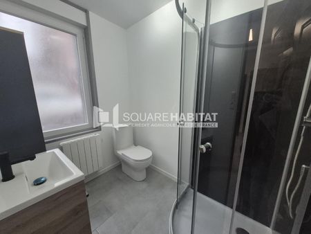 Location Appartement 2 pièces 23m² DENAIN 59220 - Photo 4