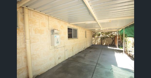 ** DON'T SIGN ANYTHING UNTIL YOU HAVE SEEN THIS RIPSNORTER!! ** - Photo 1