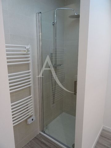 Location Appartement 1 pièce 18m² - Photo 4