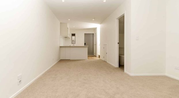 Brand new two bedroom + study with 3 heatpumps!!! - Photo 1