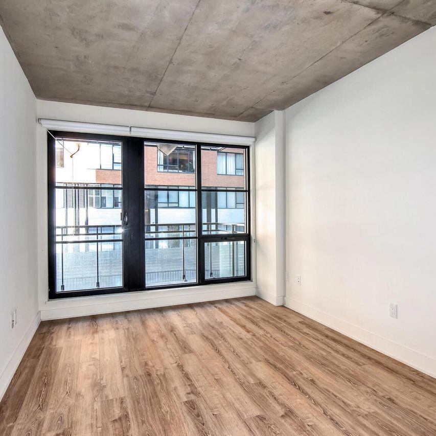2 chambres - 650 Rue Wellington, Montréal - Photo 2