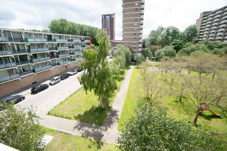 Lotustuin 43, 3078 KL Rotterdam - Foto 4