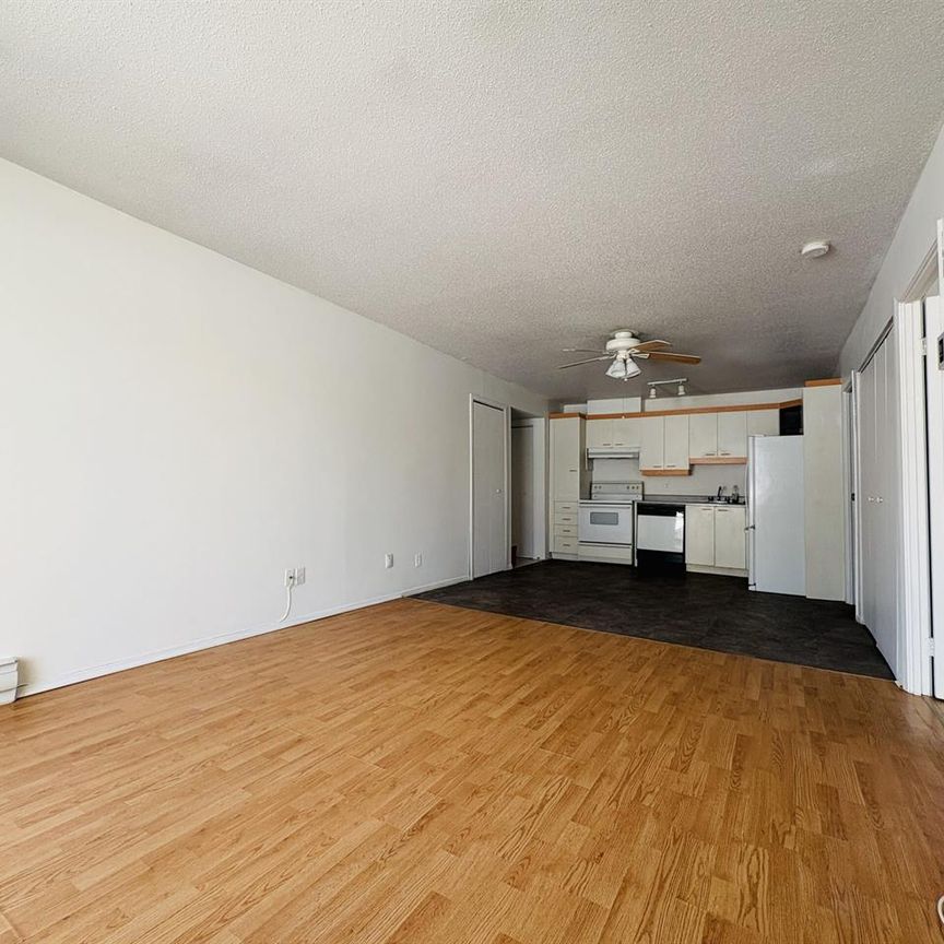 Antoine-du Verdier Appartement 3 ½ à Louer Sainte-Foy / Sillery Juillet 2026 - Photo 1