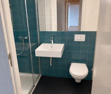 4.5 Zimmer-Wohnung in Birmensdorf (ZH) Ihr neues Zuhause im Grünen - Foto 4