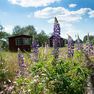 Basebovägen 2B, Vena - Foto 3