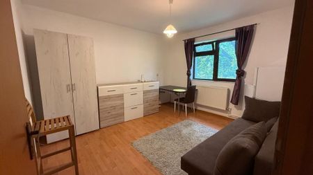 COPOU, UNIVERSITATEA CUZA, 1 CAMERA DE INCHIRIAT - Fotografie 2