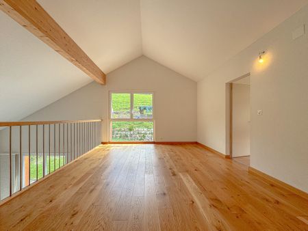 In the countryside 6.5-room duplex with garden terrace and garages - Foto 3