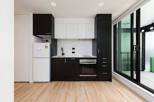 Fully furnished, overlooking treelined street - Photo 1