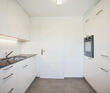 Sonnige 3.5-Zimmerwohnung mit neuer Küche + Bad - Foto 2