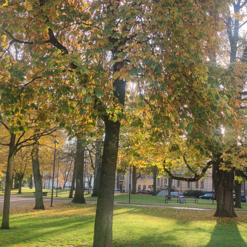 Rådhusgatan, Skövde - Foto 2