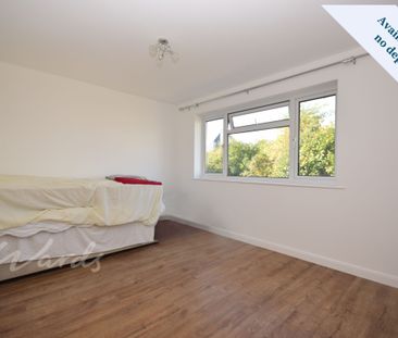 2 bedroom detached bungalow to rent - Photo 3