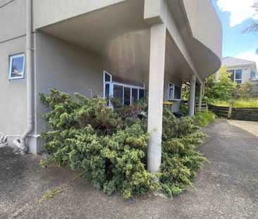 Easy Living in Manly - Photo 1