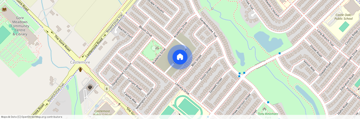 19 Dolomite Drive #Basement, Brampton, Bram East