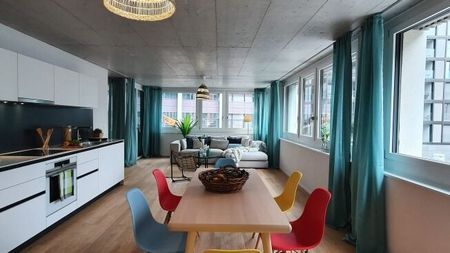 Vivre dans le Tribschequartier à Lucerne - Photo 5