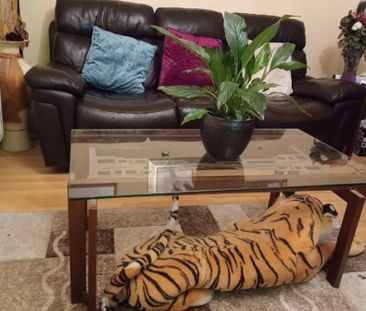 The Boulevard Cruise Park, Dublin - Photo 2