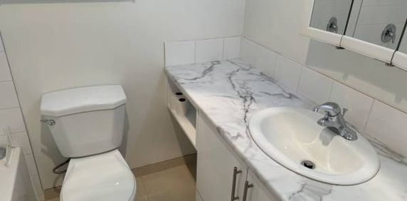 Brand New Renovated Large One Bedroom (Vancouver) - Photo 2