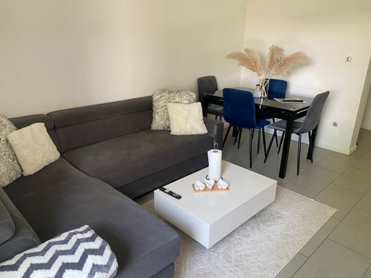 Location Appartement 3 pièces 52m² MULHOUSE 68200 - Photo 1