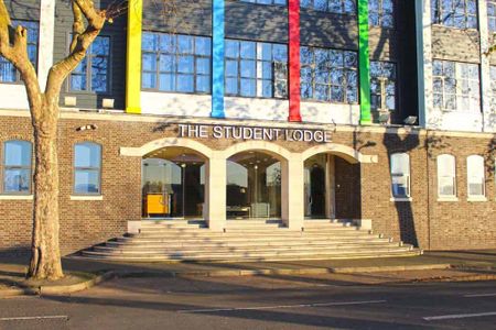 Deluxe Studio - Photo 5