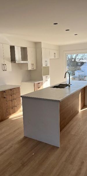 4 1/2 Becancour (St-Grégoire) rue Leduc - Photo 1