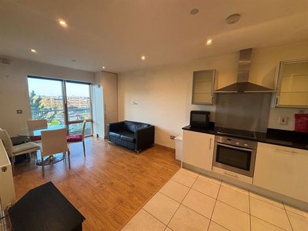 Beech House, Dublin 18 - Photo 5